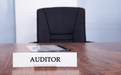 8.2.2 The Internal Auditor – 2023 Update