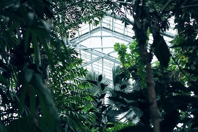 environmentally protected greenhouse