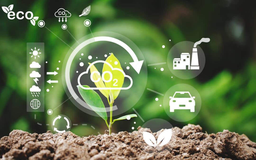 ISO 14001 Update Coming in January 2026